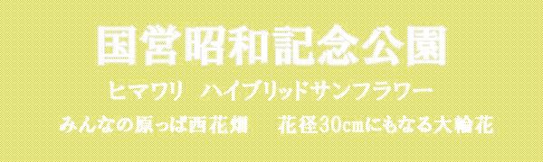 ���c���a�L�O����